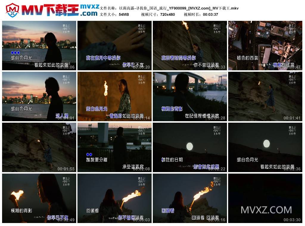 以莉高露-寻找你_国语_流行_YF900099